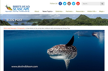 Molas photographed in PNG: blog post