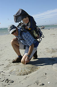 Brett and Marina investigate mola food on the beach of Langaban 