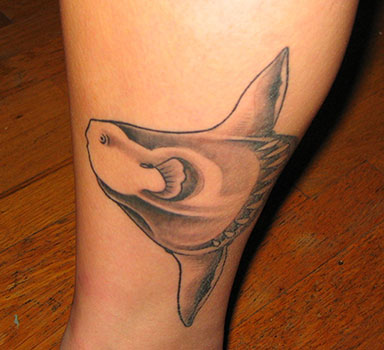 sunfish tattoo on calf of leg